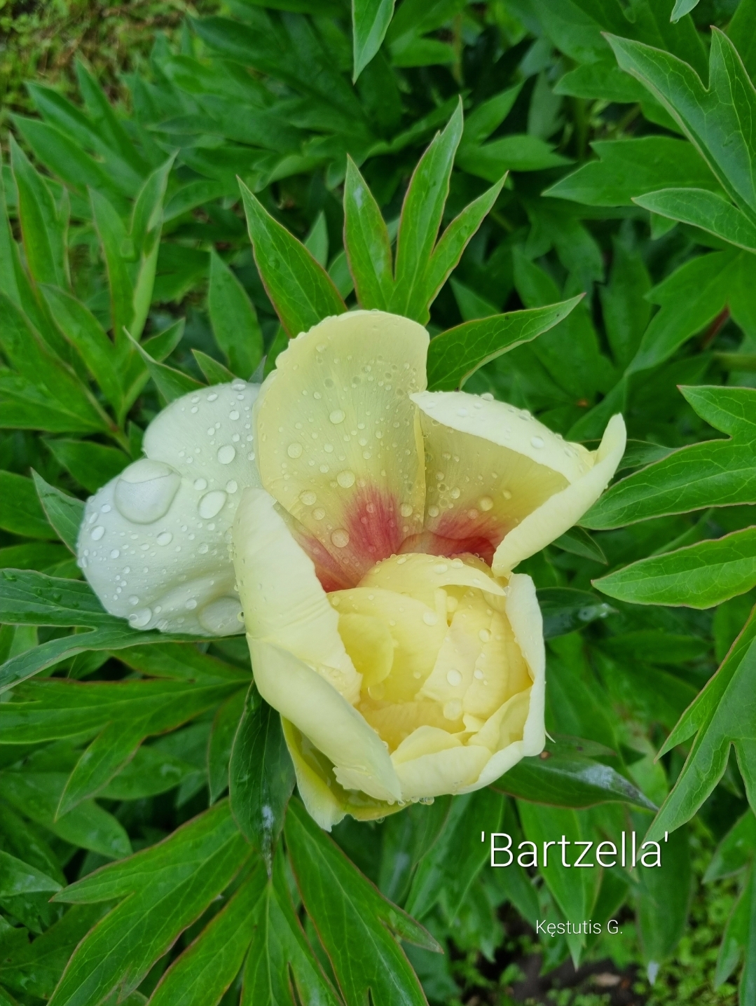 SmartSelect_20221101_075347_Gallery