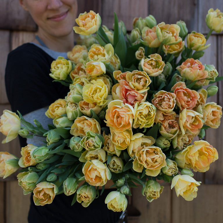 Floret_Tulips_Charming-Beauty-3_768x