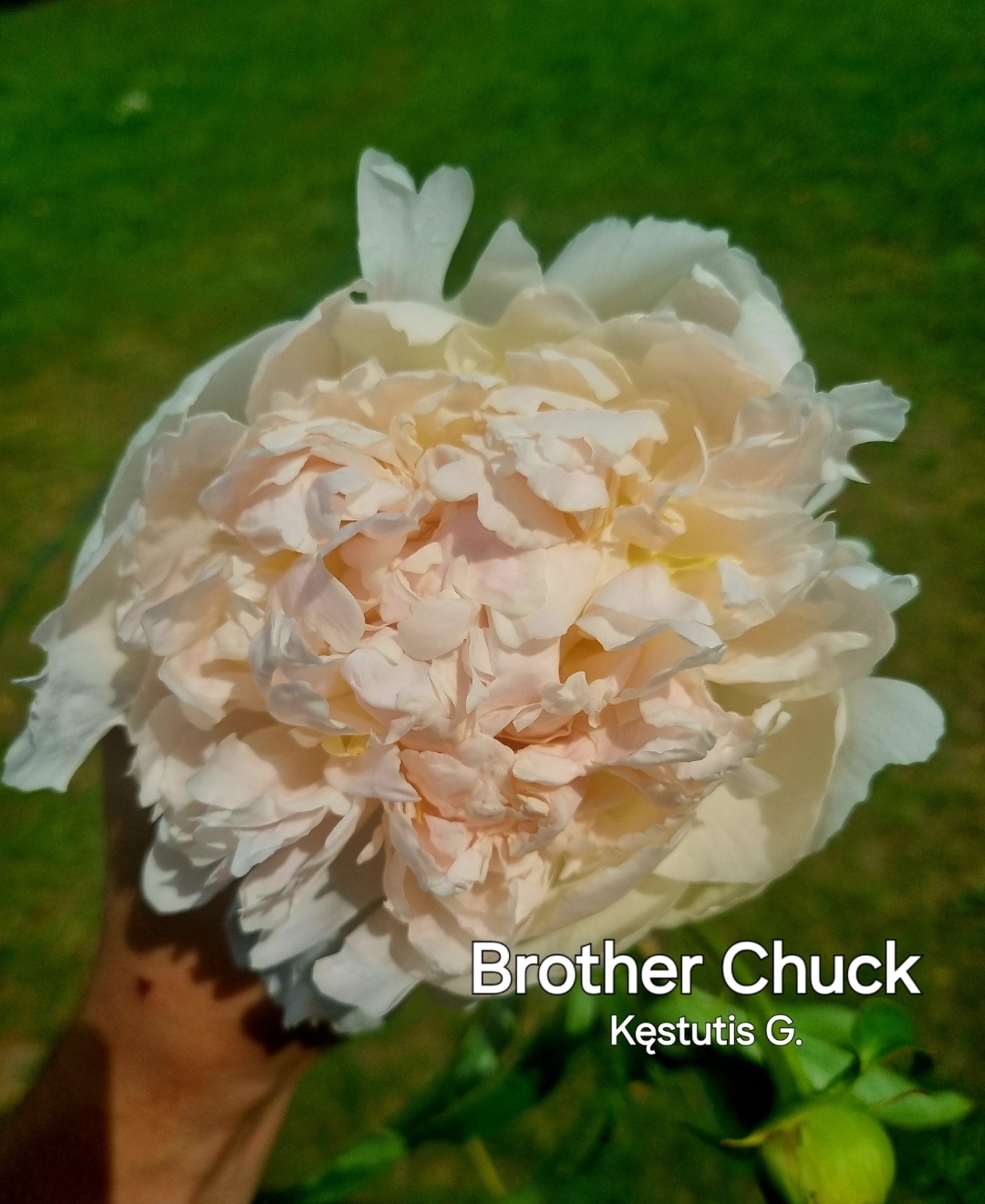 Brother Chuck